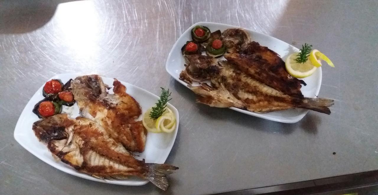 Hotel Restaurant Univers شكودر المظهر الخارجي الصورة